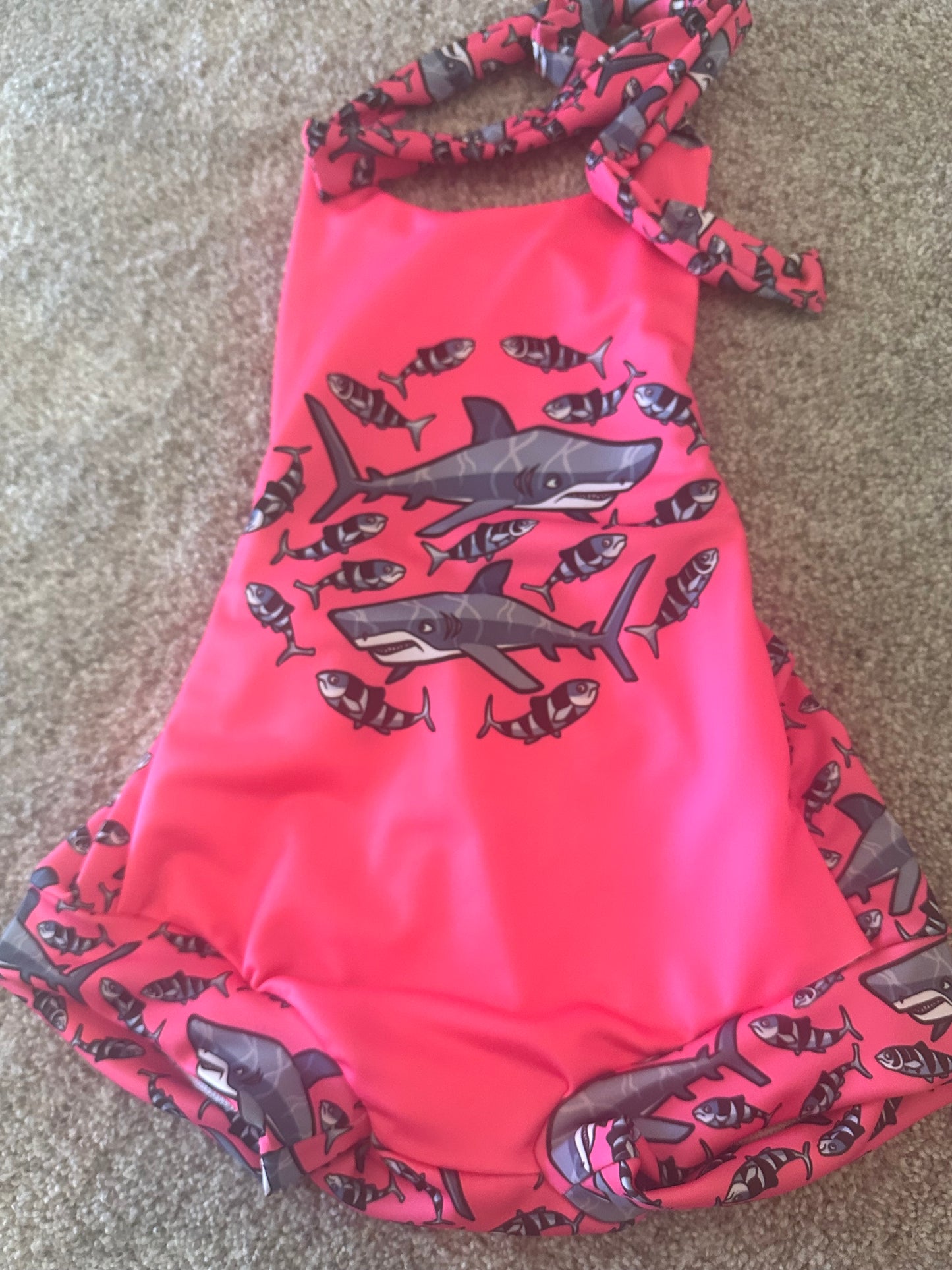 Shark swim