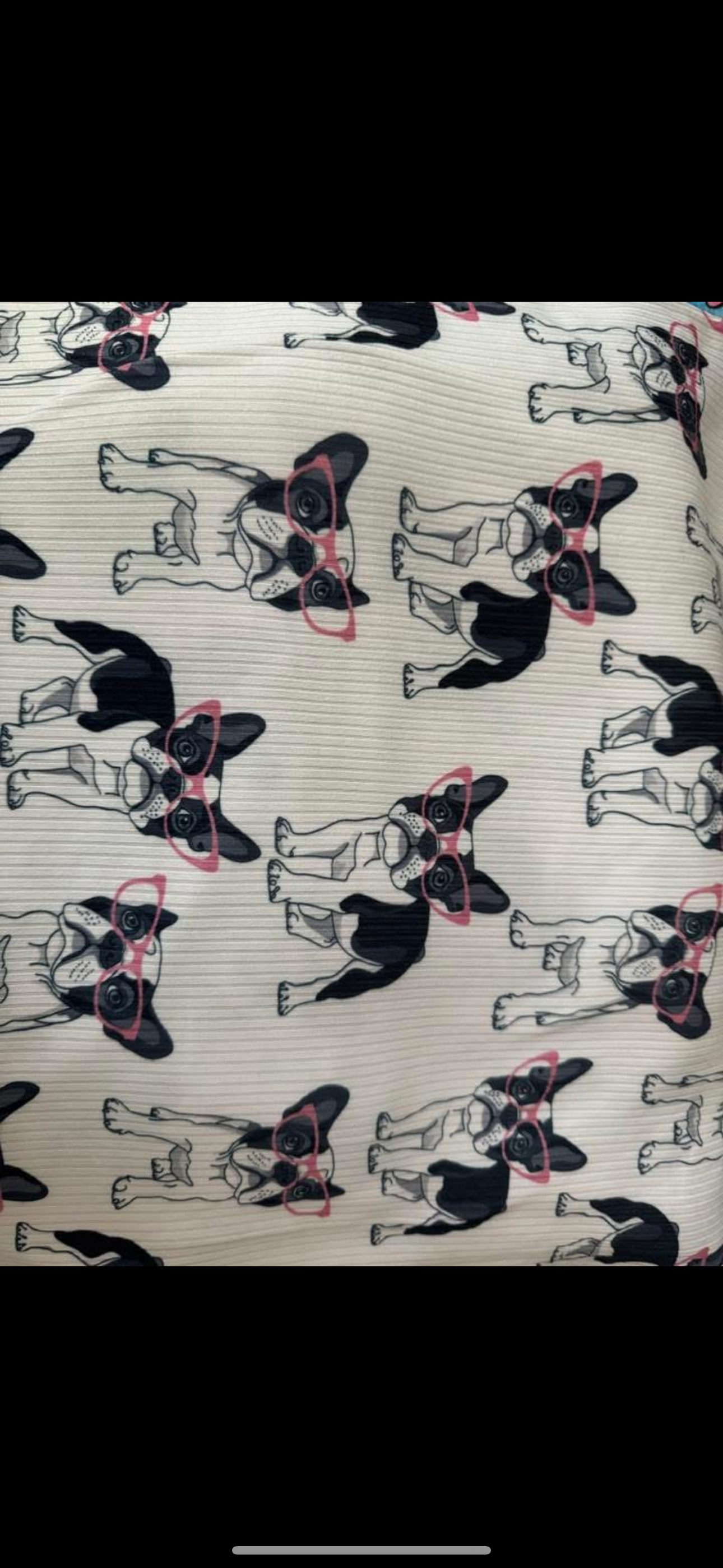 2t tank and bummies + puppy romper